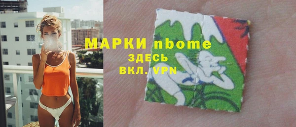 индика Белокуриха
