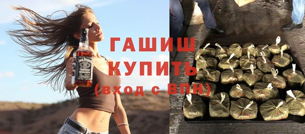 индика Белокуриха