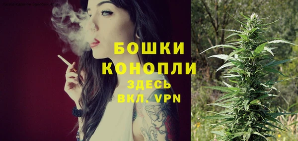 индика Белокуриха