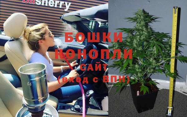 индика Белокуриха