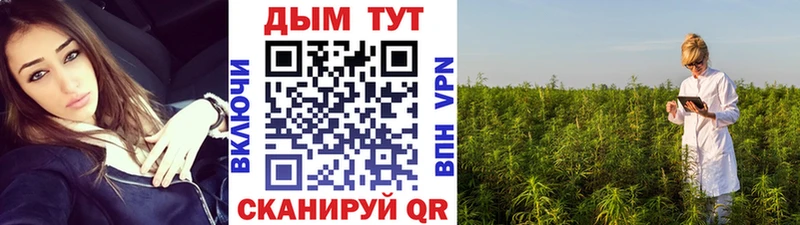 Бошки марихуана VHQ  магазин  наркотиков  Малмыж 